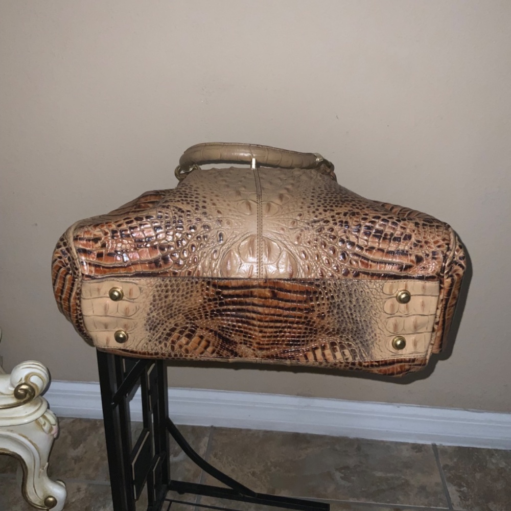 Brahmin - Picture 7 of 9